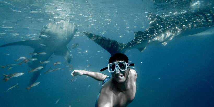 Cebu City: Whale Shark Swimming & Kawasan Falls Canyoneering - Who Should Book, and Who Should Skip