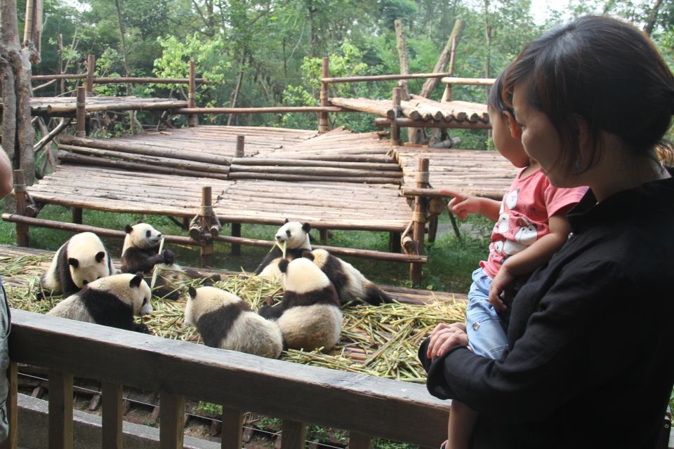 Chengdu: Giant Panda Breeding Research Base Ticket - Passport entry at the gate: simple, but prep your details