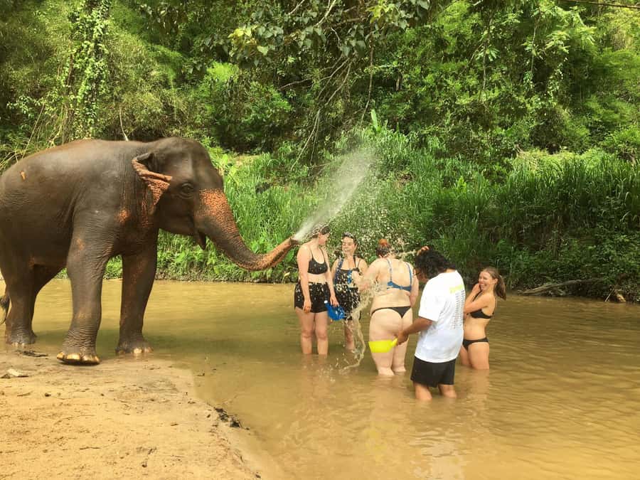 Chiang Mai: 2-Day Jungle Trek with Elephant Farm & Raft Ride - Key things that make this trek worth your time