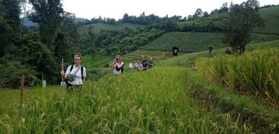 Chiang Mai: 2-Day Jungle Trek with Elephant Farm & Raft Ride - Mae Wang River bamboo rafting: the calm break you didn’t know you needed