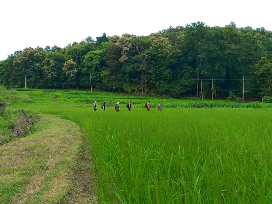 Chiang Mai: 2-Day Jungle Trek with Elephant Farm & Raft Ride - Karen Hill tribe village overnight: the cultural highlight, not just a photo stop