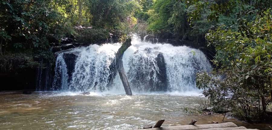 Chiang Mai: 2-Day Jungle Trek with Elephant Farm & Raft Ride - Ethical elephant sanctuary in the jungle: hands-on, so choose your comfort level