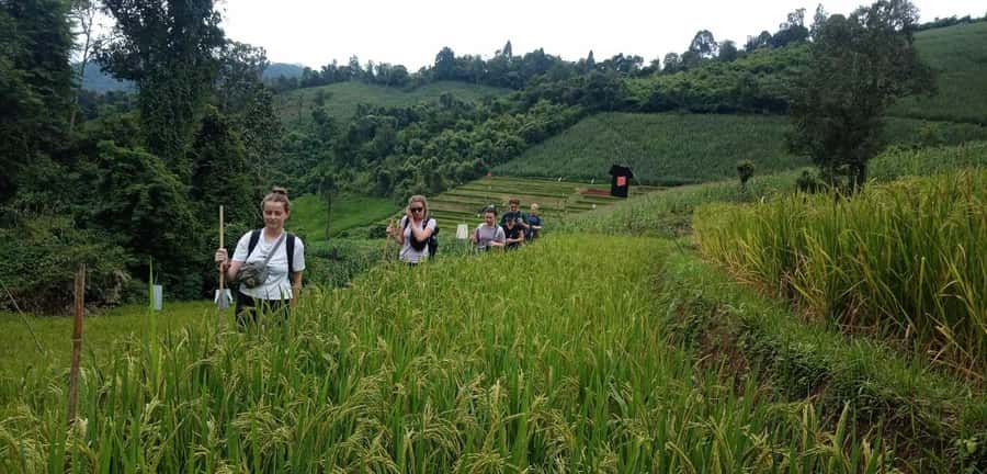 Chiang Mai: 2-Day Jungle Trek with Elephant Farm & Raft Ride - Mae Wang River bamboo rafting: the calm break you didn’t know you needed