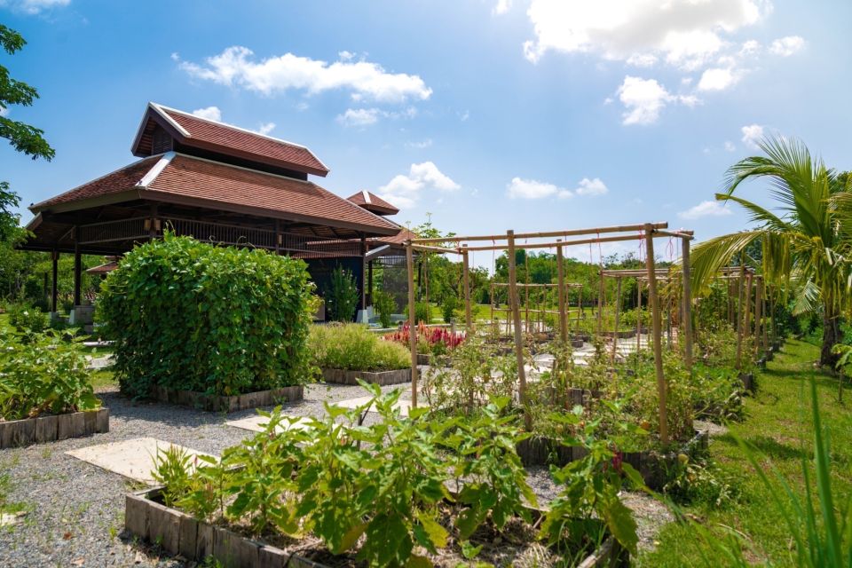 Chiang Mai: Authentic Cooking Class with Market & Farm Visit - Key highlights you’ll feel right away