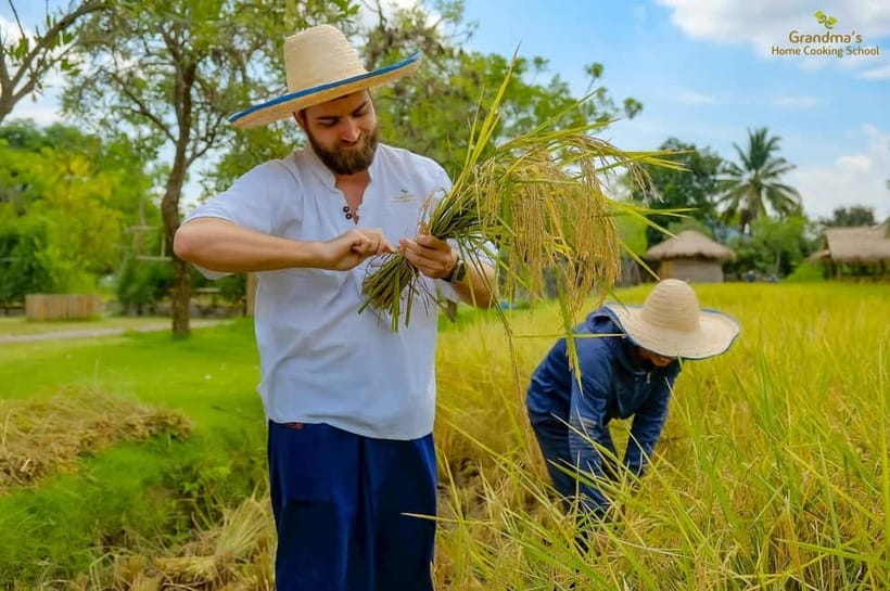 Chiang Mai: Authentic Cooking Class with Market & Farm Visit - The open-air kitchen: how you cook step by step (and eat what you make)