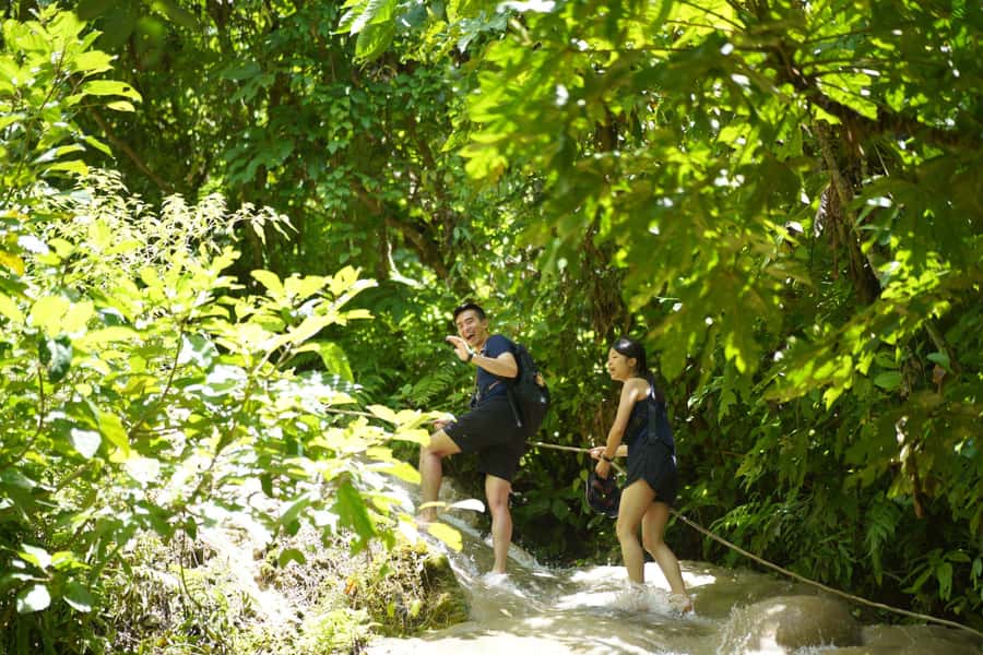 Chiang Mai: Bua Thong Sticky Waterfall & Huge Cave & Buffet - Getting There: Van Pickup, Cave Steps, and Morning Timing