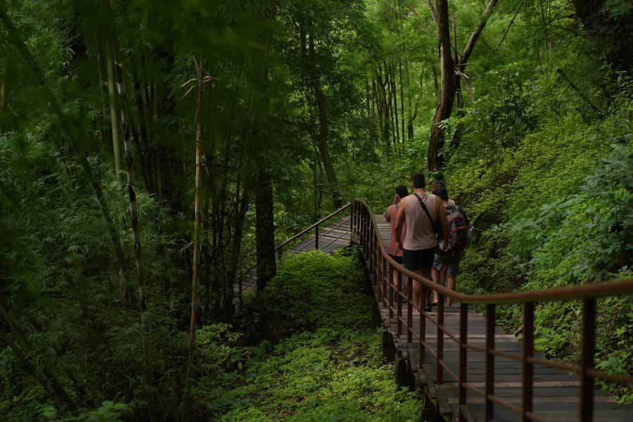 Chiang Mai: Bua Thong Sticky Waterfall & Huge Cave & Buffet - Price and Value: Why This $30 Chiang Mai Day Trip Works