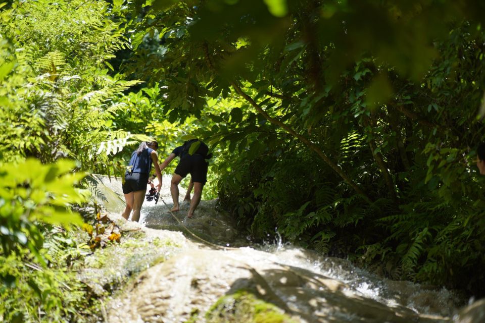Chiang Mai: Bua Thong Sticky Waterfall & Huge Cave & Buffet - Who Should Book: Best Fit for Active Sightseeing in Chiang Mai
