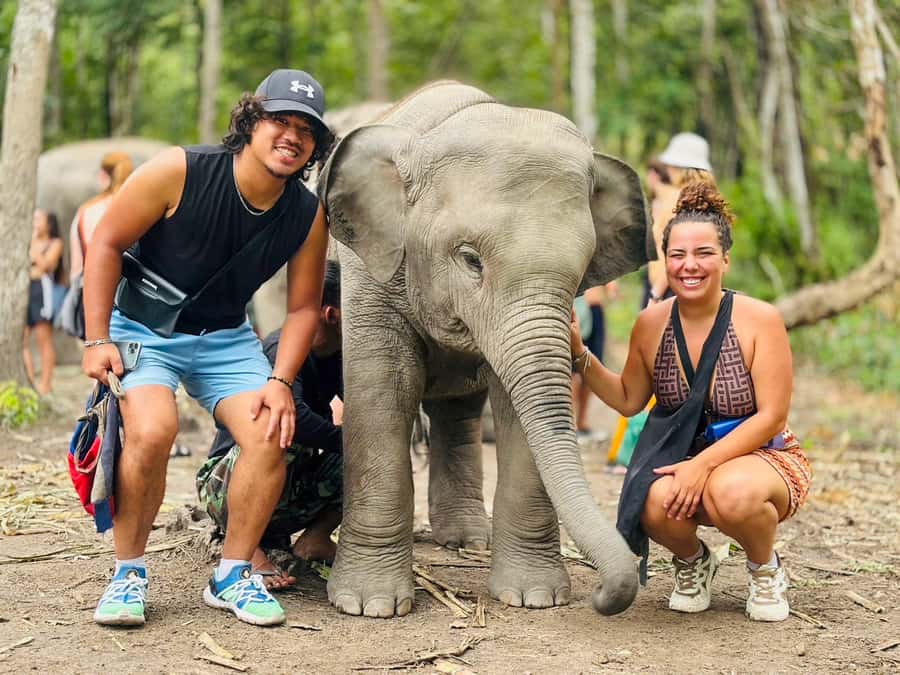 Chiang Mai: Doi Inthanon and Elephant Sanctuary Tour - Key highlights to pay attention to