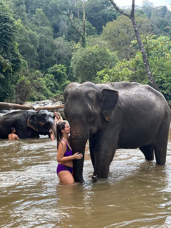 Chiang Mai: Doi Inthanon and Elephant Sanctuary Tour - Lunch with local flavors and dietary care