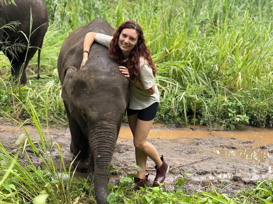 Chiang Mai: Doi Inthanon and Elephant Sanctuary Tour - The forest hike with the elephants roaming freely