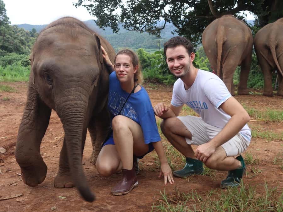 Chiang Mai: Doi Inthanon and Elephant Sanctuary Tour - Guide quality makes a big difference on this long day