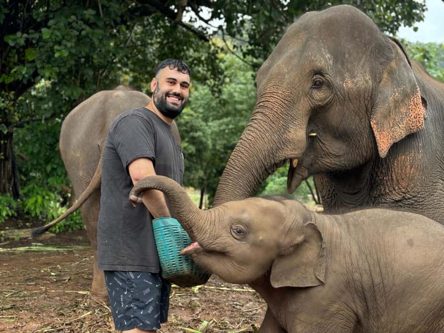 Chiang Mai: Doi Inthanon and Elephant Sanctuary Tour - Wachirathan Waterfall: the mist, the height, and why it works