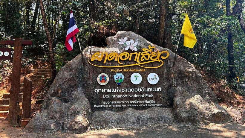 Chiang Mai: Doi Inthanon National Park and Pha Dok Siew Trek - Why Doi Inthanon feels like a different Thailand