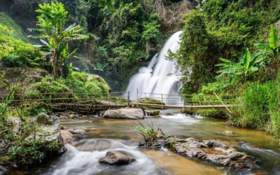 Chiang Mai: Doi Inthanon National Park and Pha Dok Siew Trek - From Chiang Mai pickup to the start of the day