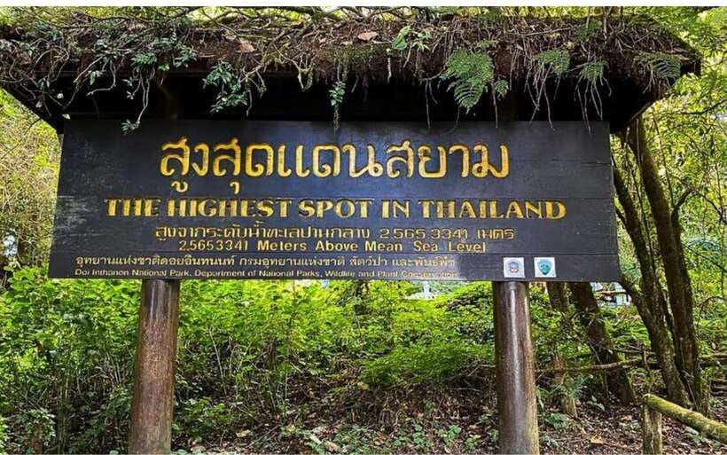Chiang Mai: Doi Inthanon National Park and Pha Dok Siew Trek - Mae Klang Luang and the market rhythm