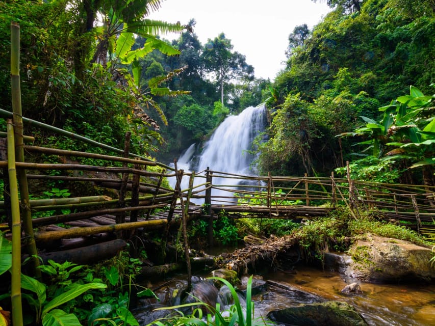 Chiang Mai: Doi Inthanon Park and Pha Dok Siew Trail Trek - Pha Dok Siew Nature Trail: jungle walking with manageable effort
