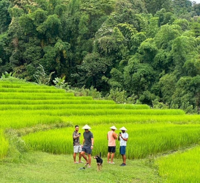 Chiang Mai: Doi Inthanon Park and Pha Dok Siew Trail Trek - Baan Mae Klang Luang coffee tasting: a fun, practical break