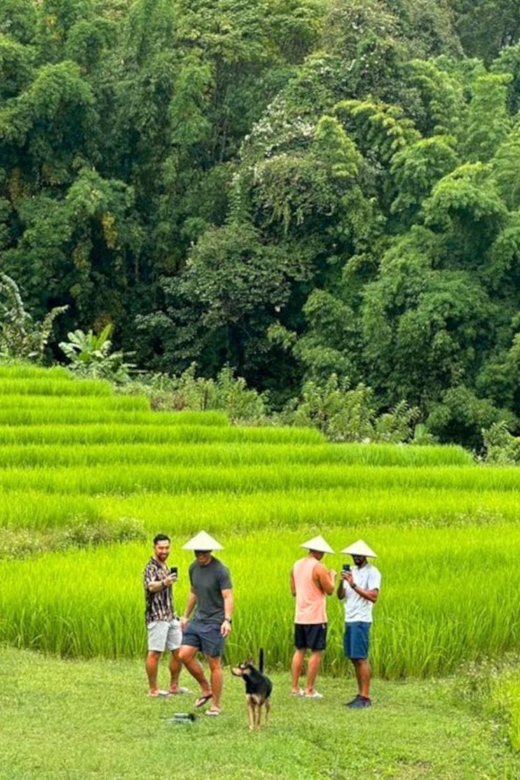 Chiang Mai: Doi Inthanon Park and Pha Dok Siew Trail Trek - Starting from Baan Meesuk: pickup timing and what to do with your morning