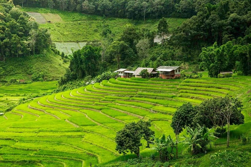Chiang Mai: Doi Inthanon Trip with Pha Dok Siew Guided Trek - Doi Inthanon in one day: why this circuit works