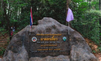 Chiang Mai: Doi Inthanon Trip with Pha Dok Siew Guided Trek - Pickup timing and the van ride you can’t ignore