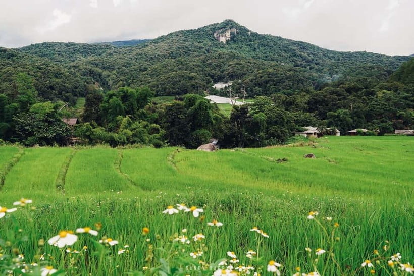 Chiang Mai: Doi Inthanon Trip with Pha Dok Siew Guided Trek - Pha Dok Siew Nature Trail: the guided trek that people rave about for a reason