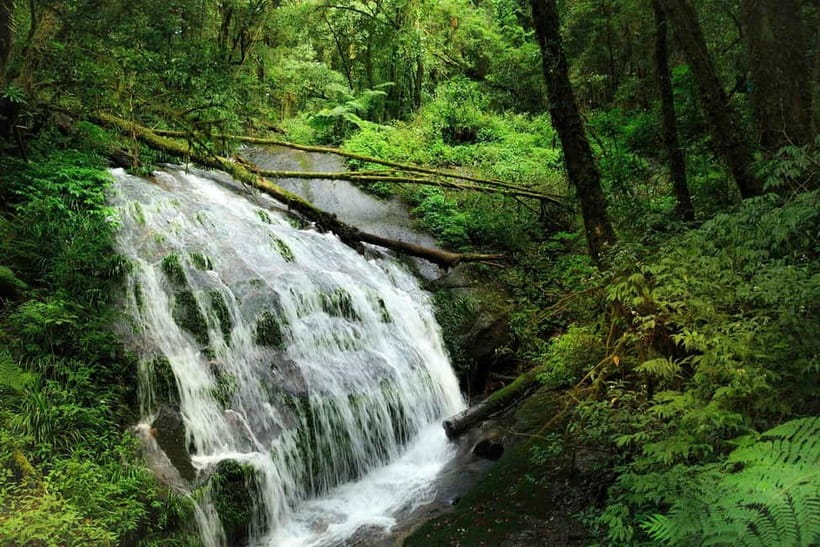 Chiang Mai: Doi Inthanon Trip with Pha Dok Siew Guided Trek - Thailand’s highest point: what you’ll really see