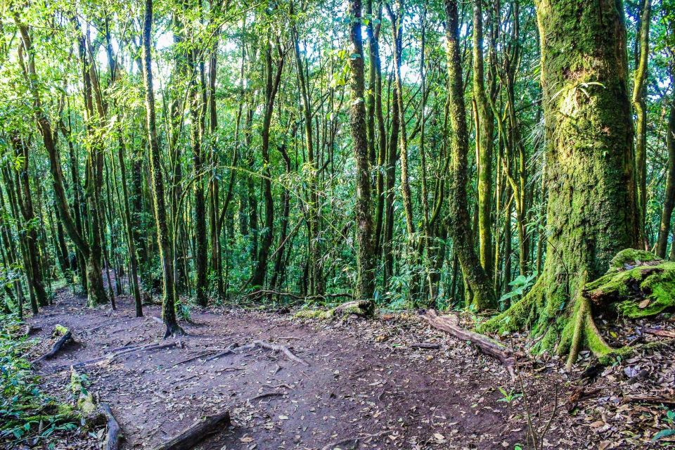 Chiang Mai: Doi Inthanon, Waterfalls, & Tribal Villages Tour - FAQ