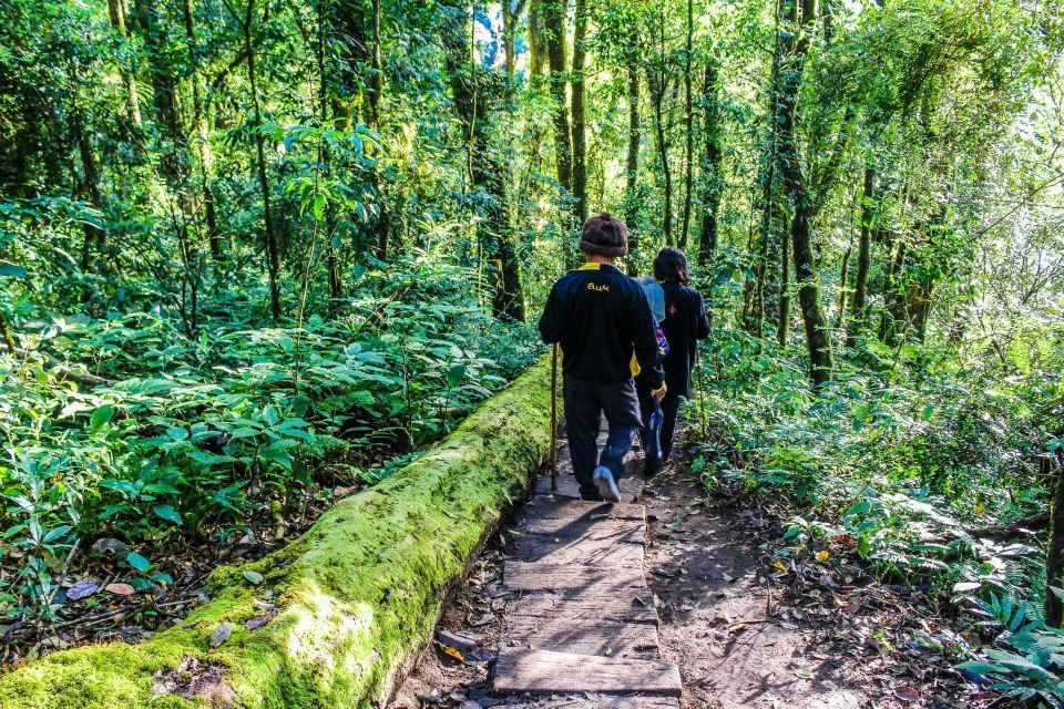 Chiang Mai: Doi Inthanon, Waterfalls, & Tribal Villages Tour - Hill-Tribe Visits in the Doi Inthanon Area: Karen and Hmong stops that feel human
