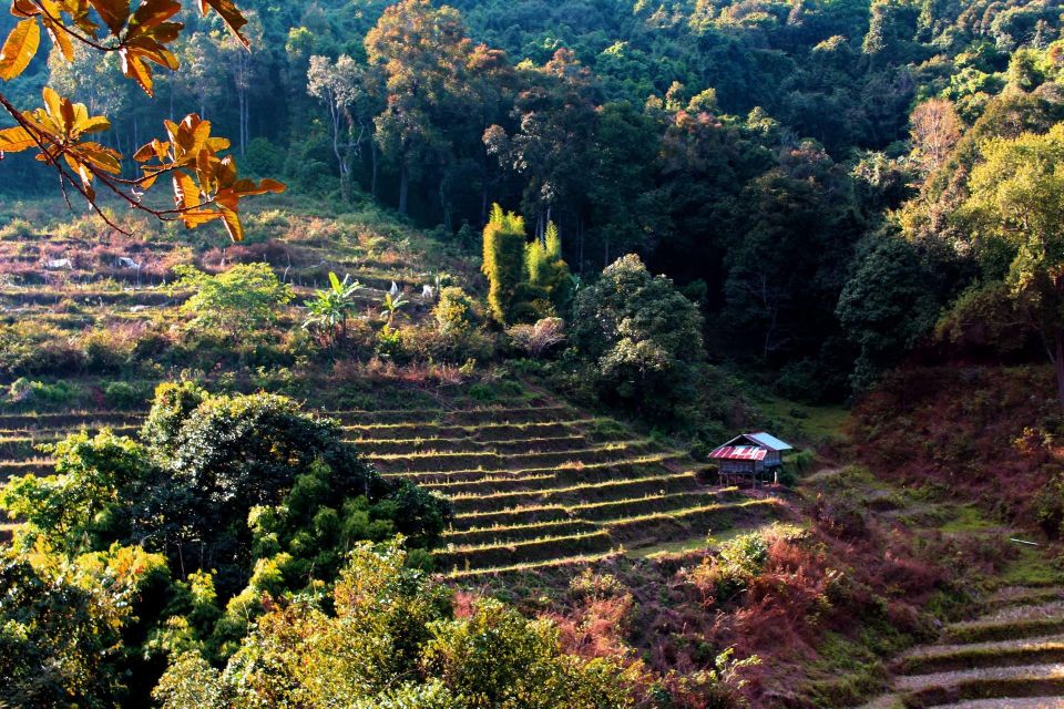 Chiang Mai: Doi Inthanon, Waterfalls, & Tribal Villages Tour - Pickup, ride comfort, and the extra fees you’ll pay on site