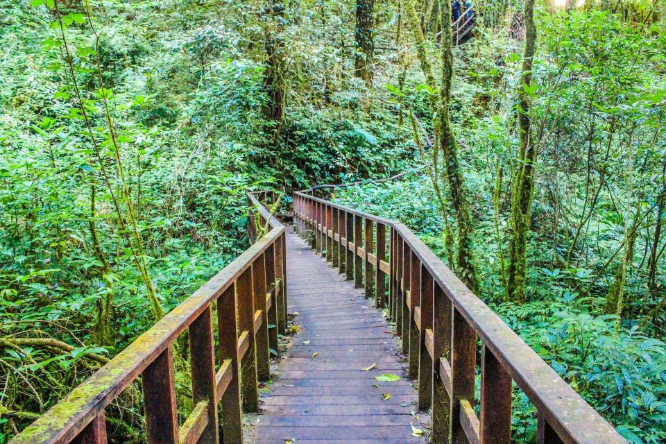 Chiang Mai: Doi Inthanon, Waterfalls, & Tribal Villages Tour - Should you book this Doi Inthanon tour?