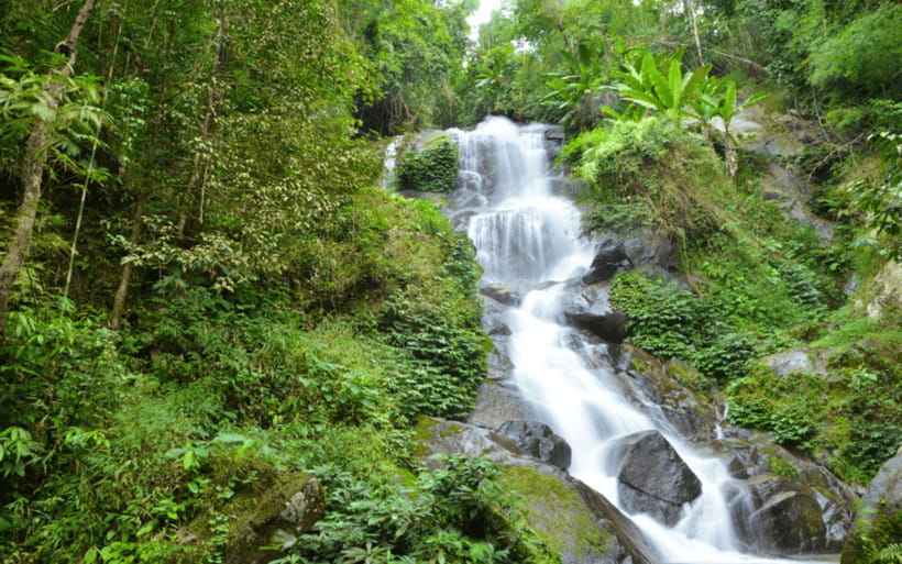 Chiang Mai: Doi Suthep Temple and Waterfall by Songtaew Trio - Wat Phra That Doi Suthep: relics, mountain roads, and the view that earns its reputation