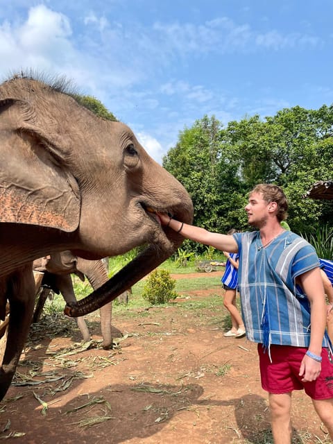 Chiang Mai: Elephant Dream Project Sanctuary - Half-Day - The vibe: ethical elephants, not an amusement park