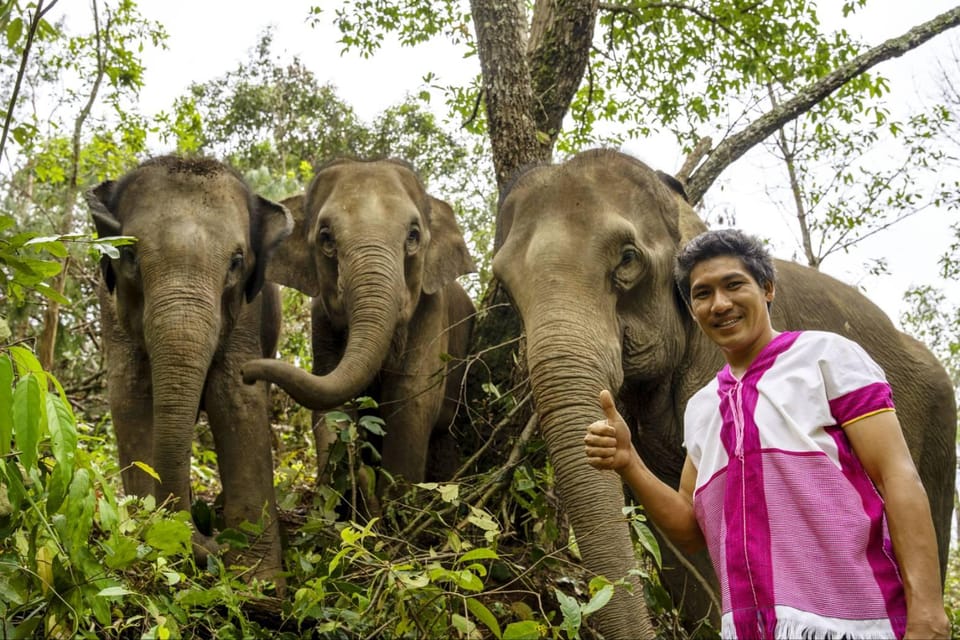 Chiang Mai: Elephant Dream Project Sanctuary - Half-Day - Lunch in between: Thai food and a chance to reset