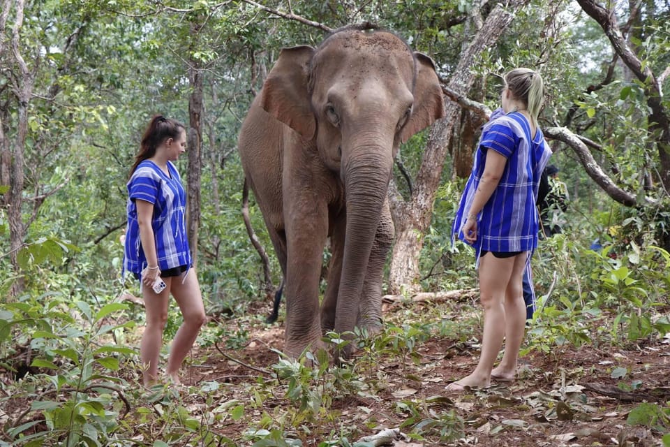 Chiang Mai: Elephant Dream Project Sanctuary - Half-Day - Packing and walking tips so the day feels easy