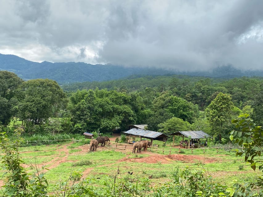 Chiang Mai: Elephant Dream Project Sanctuary - Half-Day - Arrival briefing: meet the team and understand the elephant rules