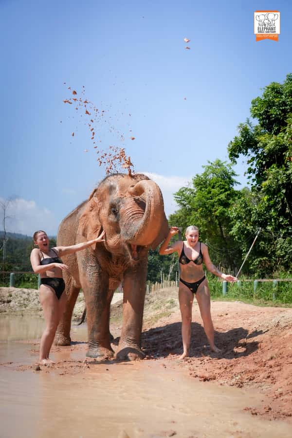 Chiang Mai: Elephant Jungle Sanctuary with Lunch & Transfer - The sanctuary morning: Karen clothing, feeding, and respecting space
