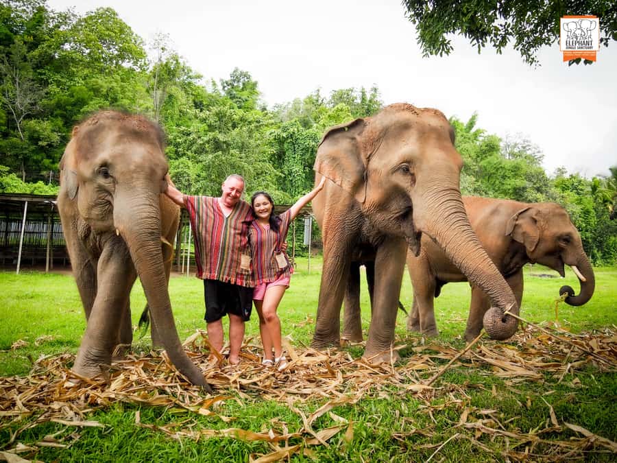 Chiang Mai: Elephant Jungle Sanctuary with Lunch & Transfer - Mud spa with the elephants: what to expect and how to prepare