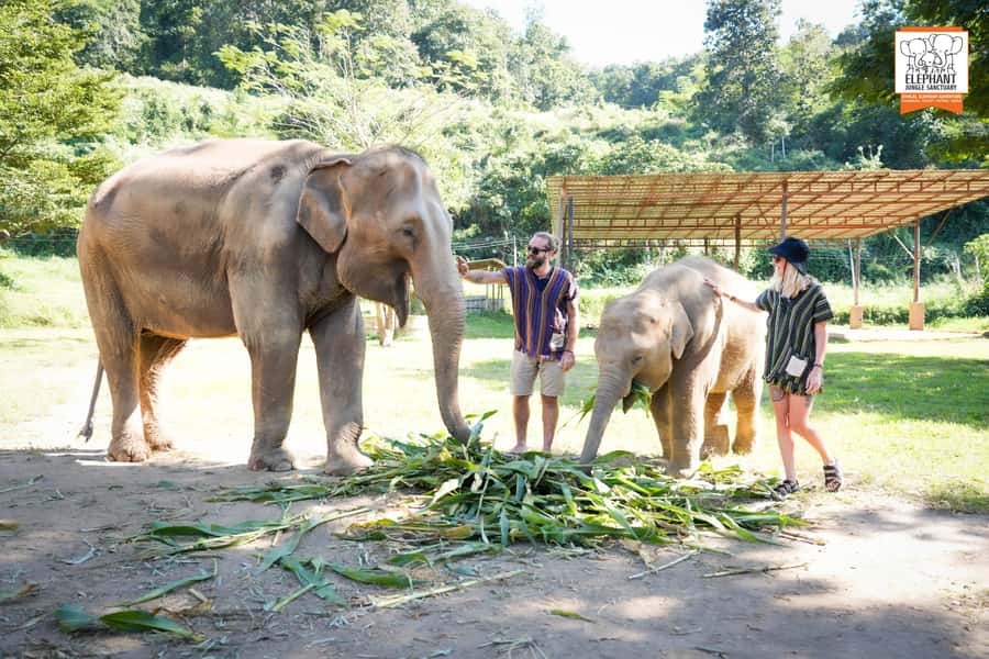 Chiang Mai: Elephant Jungle Sanctuary with Lunch & Transfer - Value for money: what $61 includes that usually costs extra