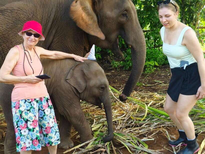 Chiang Mai: Elephant Sanctuary, Monk Trail & Doi Suthep Tour - Wat Phra That Doi Suthep: the golden pagoda and big Chiang Mai views
