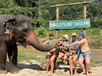 Chiang Mai: Elephant Sanctuary, Waterfall & Bamboo Rafting - Getting There: Downtown Pickup and the Route Beyond Chiang Mai