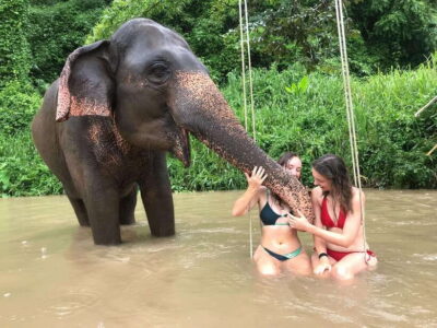 Chiang Mai: Elephant Sanctuary & Waterfall Group Tour - Pon Elephant Thailand Briefing: What You Learn Before You Meet the Elephants