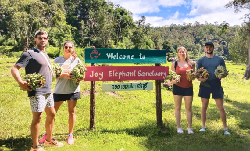 Chiang Mai: Ethical Half Day Elephant Sanctuary & Waterfall - Pickup and the van ride out of Chiang Mai’s Old City area