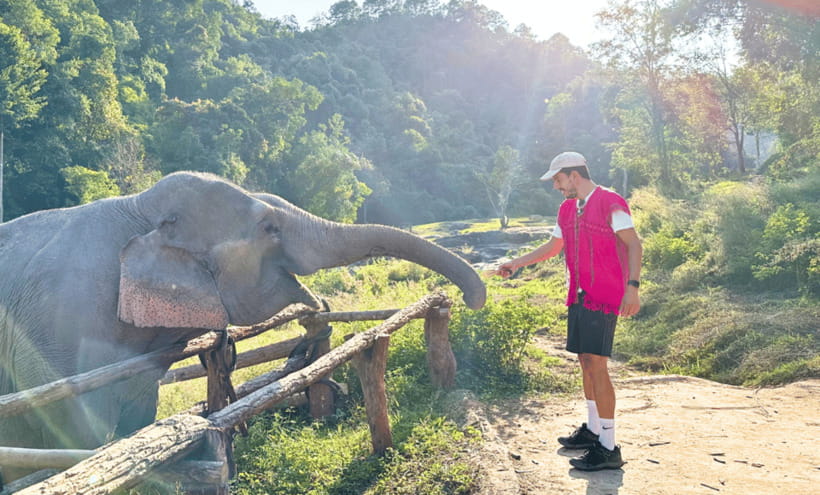 Chiang Mai: Ethical Half Day Elephant Sanctuary & Waterfall - Mae Wang wildlife viewing: what you’ll notice before elephant time fully ramps up