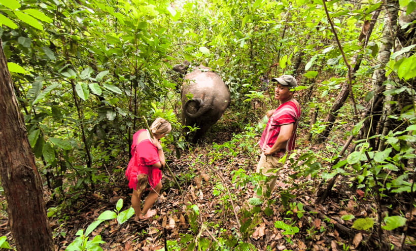 Chiang Mai: Ethical Half Day Elephant Sanctuary & Waterfall - What to pack (and what to skip) for jungle + waterfall