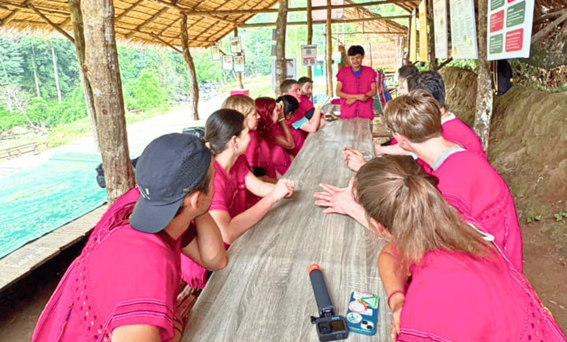 Chiang Mai: Ethical Half Day Elephant Sanctuary & Waterfall - The 7-hour reality behind a half-day label