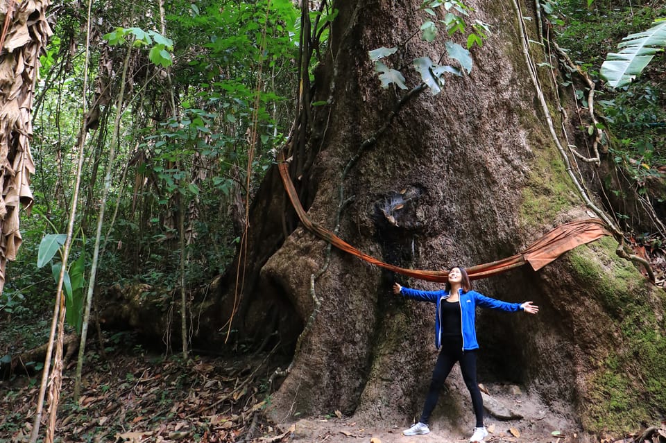 Chiang Mai: Gibbons, Trekking & Mae Kampong Small Group Tour - From Chiang Mai to Mae Kampong: your mountain-day timeline