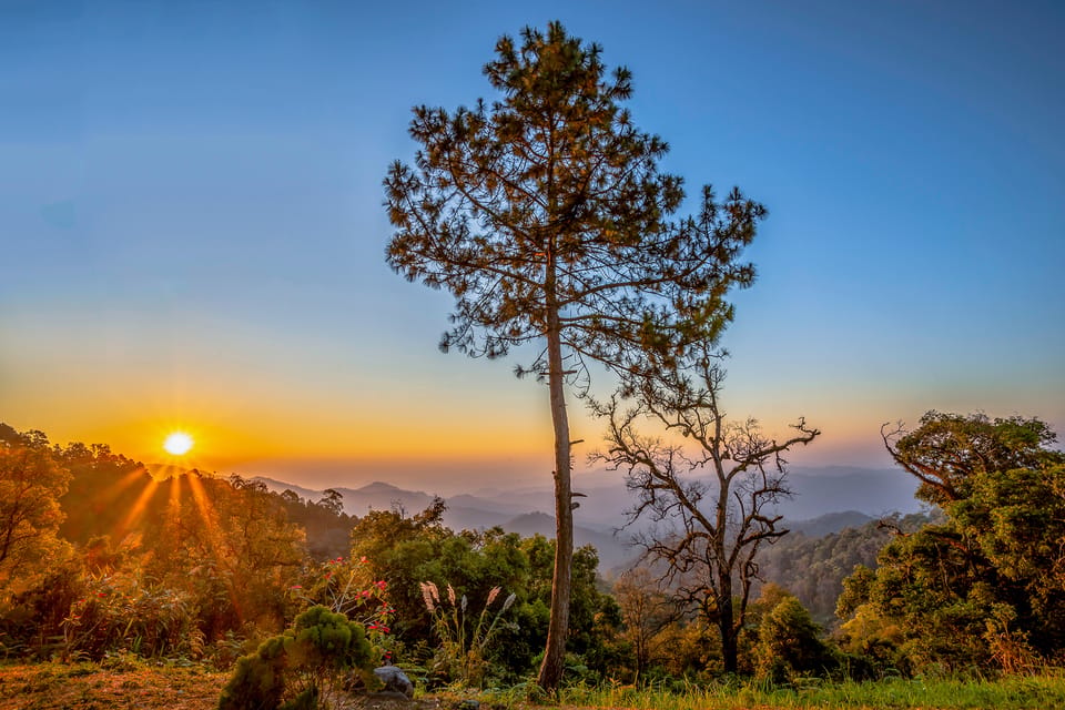 Chiang Mai: Gibbons, Trekking & Mae Kampong Small Group Tour - Price and value: how $77 makes sense for what’s included
