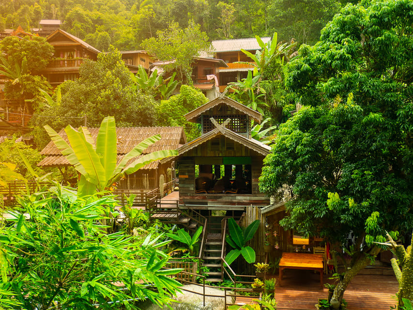 Chiang Mai: Gibbons, Trekking & Mae Kampong Small Group Tour - Should you book this tour?