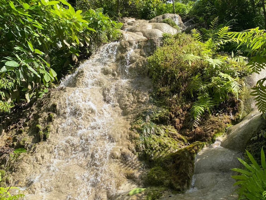 Chiang Mai Half Day Tour: Sticky Waterfall & Hotel Transfer - Your Real Itinerary: Transfer Out, Time to Climb, Transfer Back